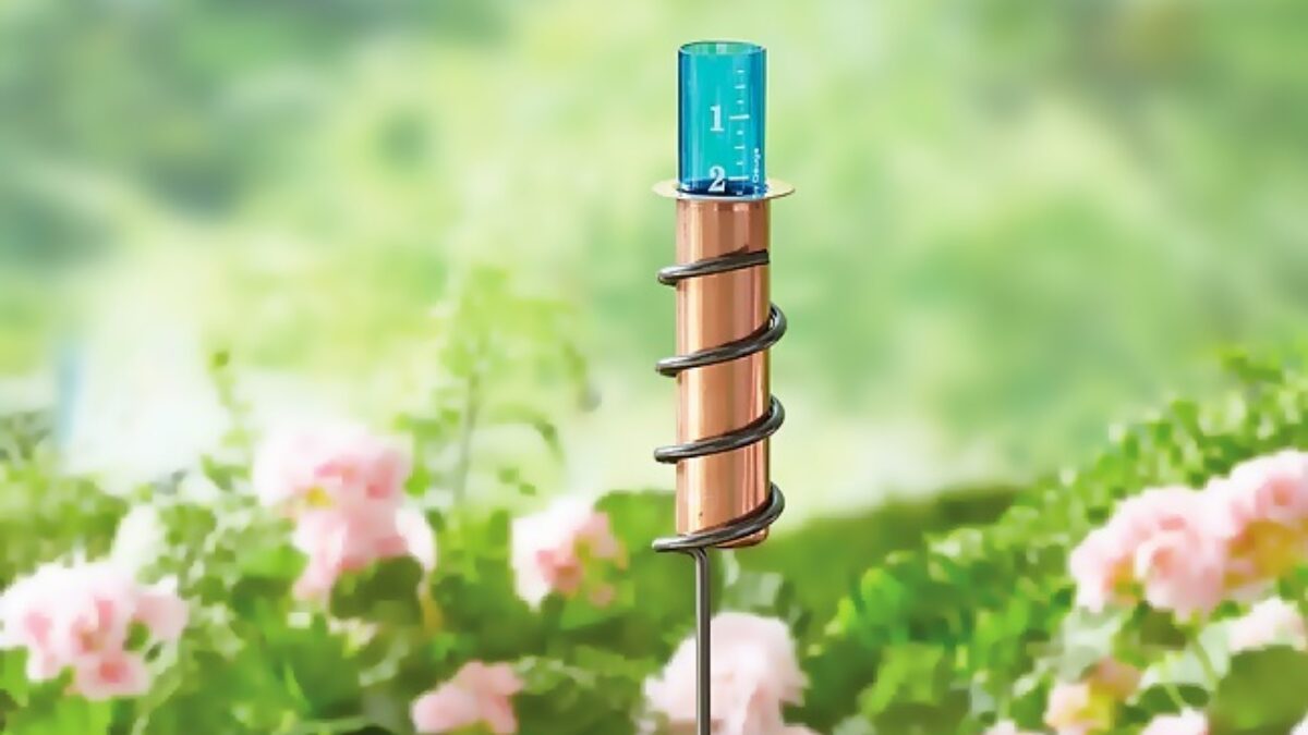 Besættelse blomst vægt Regnmålere i kobber - En dekorativ måde at måle mængden regnvand i din have  - Mit Hus Min Have