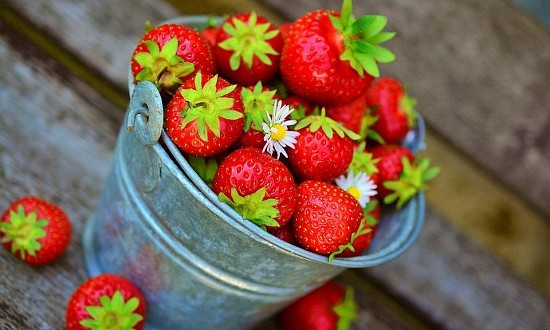 krukke jordbær