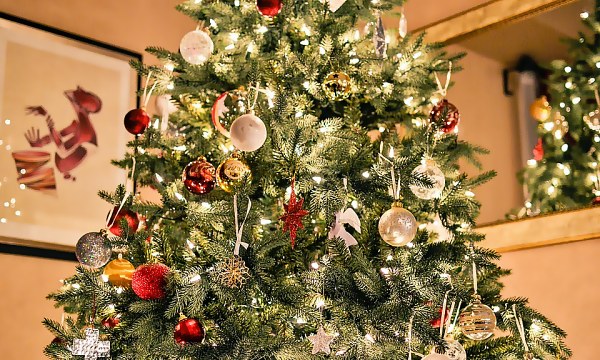 Danse om juletræet – julens bedste tradition med sang, familie og hygge